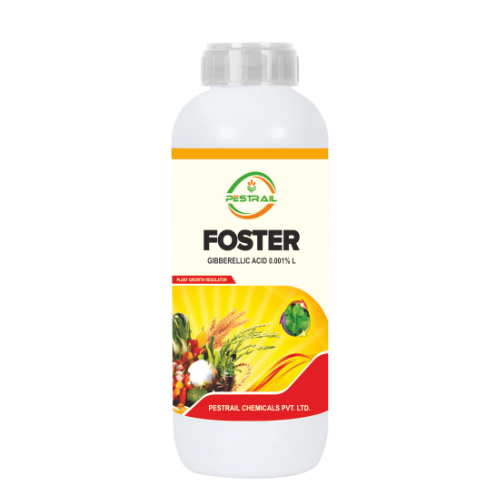 FOSTER